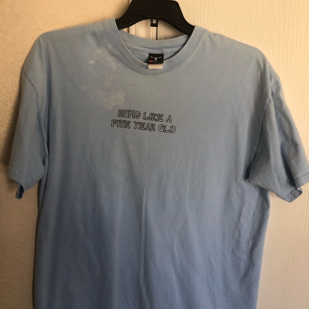 Hung like a five year old tee. Light blue joke tee. If you get it you get it